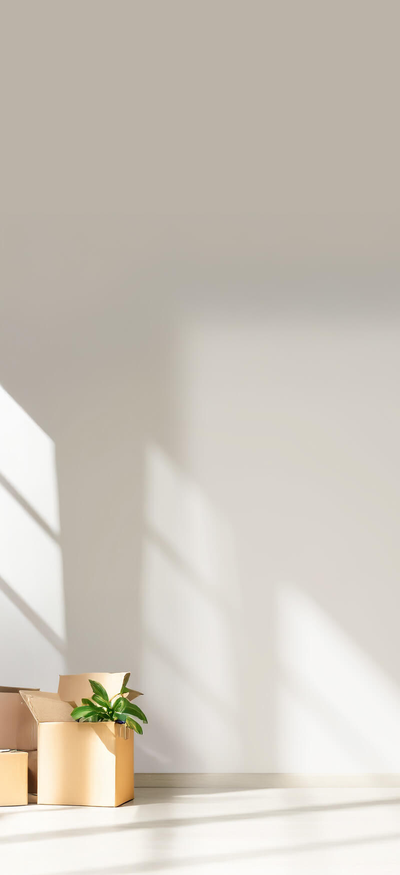 Hintergrund
